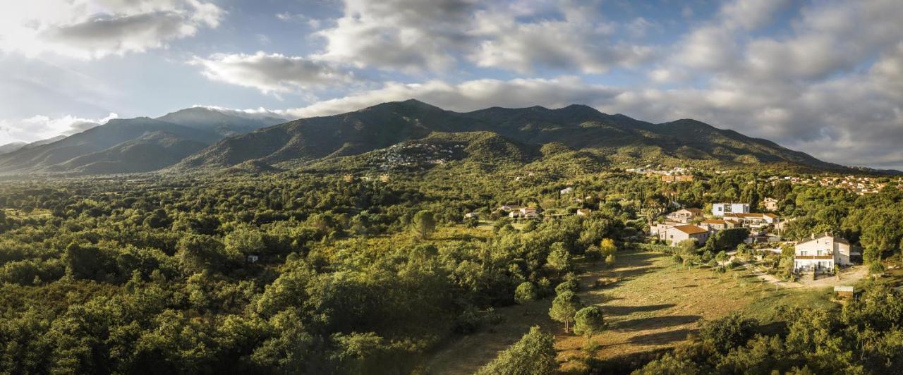 Domaine Pedra Llampada Gite Mer Villelongue-dels-Monts Exterior foto